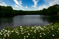 Lake Sherwood Spring